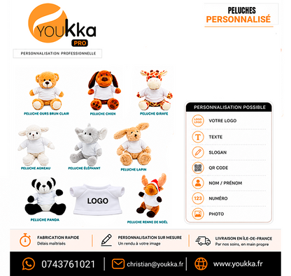 Peluche personnalisée avec t-shirt